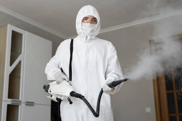 Why You Should Choose Our Mold Remediation Services in New Castle, PA